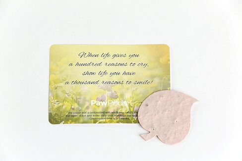Paw Pods Pet Fish Casket | Biodegradable Fish Casket With Sympathy Card And Seeded Leaf | Plant The Seed For A Living Memorial Pet Grave Marker | Fish Pod Fish Coffin in Saudi Arabia
