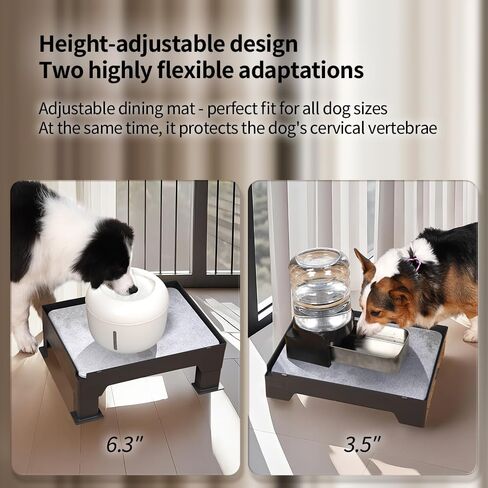 حامل تغذية الحيوانات الأليفة ذو حصيرة الدياتوميت - متوافق مع معظم أوعية الكلاب والمغذيات الأوتوماتيكية، ومحطة طعام مرتفعة مع أقدام مضادة للانزلاق وارتفاع قابل للتعديل يمتص الانسكابات للحفاظ على منطقة الوعاء نظيفة in Kuwait