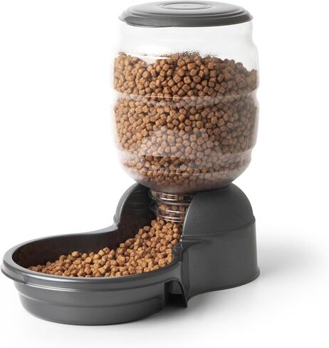 Petmate Replendish Automatic Cat and Dog Feeder, Pearl Peacock Blue, 10lb in Saudi Arabia