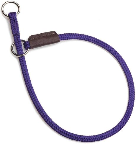 Mendota Pet Show Slip Collar - Made in The USA - Black, 22 in in Saudi Arabia