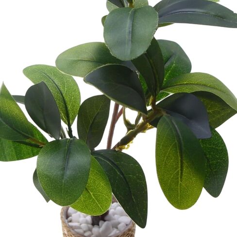 Mini Plant - 1:6 Scale Greenery Model Ornament, 5x4cm Mini Potted Plant with Realistic Leaves for Christmas DIY Handicrafts, Resin Miniature with Detailed Design, Desk Shelf Home Windowsill in Saudi Arabia