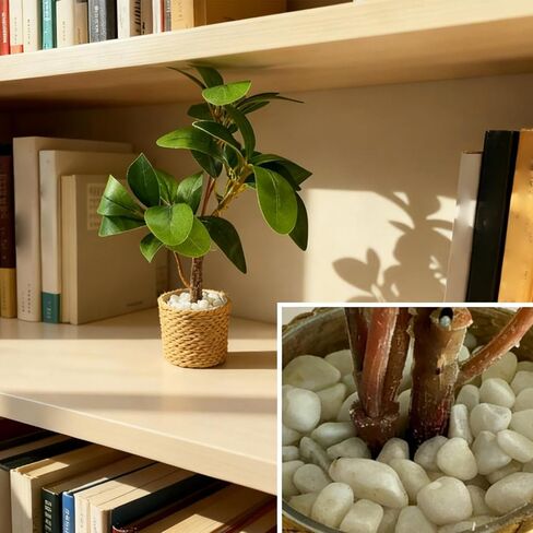 Mini Plant - 1:6 Scale Greenery Model Ornament, 5x4cm Mini Potted Plant with Realistic Leaves for Christmas DIY Handicrafts, Resin Miniature with Detailed Design, Desk Shelf Home Windowsill in Saudi Arabia