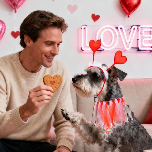 2 Pcs Valentine's Day Dog Costume Red Heart Headband with Collar for Small Medium Dog Cat Valentine's Day Wedding Holiday Party Outfit in Saudi Arabia