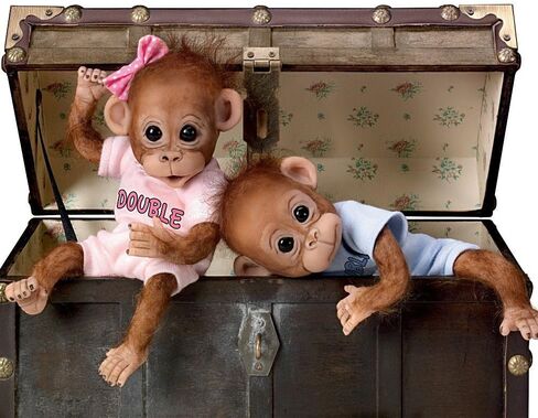 دمى Ashton-Drake Galleries Double Trouble Baby Orangutan Twin Dolls من سيندي سيلز، دمى قرد نابضة بالحياة يمكن وضعها مع شعر مطبق يدويًا وأزياء مخصصة in Saudi Arabia
