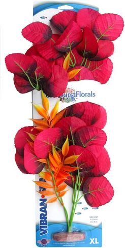 ColorBurstFlorals نبات زنبق عريض ذو أوراق زنبق كبير جدًا in Kuwait