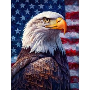 American Flag Eagle Preprinted 11CT Cross Stitch Kits for Beginners & Adults - Easy Needlepoint Patterns for Home Decor & Craftings 715A in Saudi Arabia