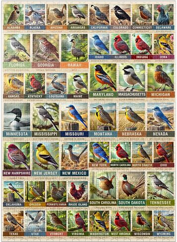 سلسلة MyPuzzle State Birds: مجموعة 50 طائر دولة، المجلد 1 - أحجية الصور المقطوعة الممتازة المكونة من 500 قطعة للبالغين in Saudi Arabia