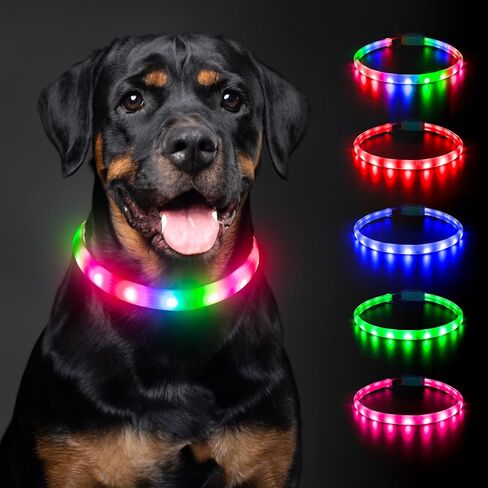 طوق للكلاب بإضاءة LED مع 12 وضع إضاءة - ضوء للكلاب قابل لإعادة الشحن يتوهج في الظلام للمشي ليلاً، طوق للكلاب مضيء قابل للتعديل للكلاب الصغيرة/المتوسطة/الكبيرة، شحن لمدة ساعة ووقت تشغيل لمدة 12 ساعة، أصفر in Kuwait