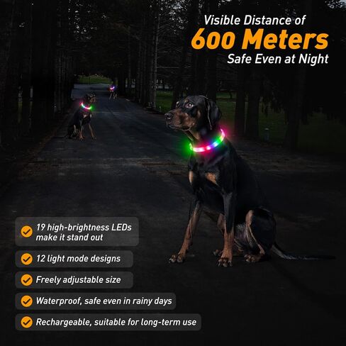 طوق للكلاب بإضاءة LED مع 12 وضع إضاءة - ضوء للكلاب قابل لإعادة الشحن يتوهج في الظلام للمشي ليلاً، طوق للكلاب مضيء قابل للتعديل للكلاب الصغيرة/المتوسطة/الكبيرة، شحن لمدة ساعة ووقت تشغيل لمدة 12 ساعة، أصفر in Kuwait
