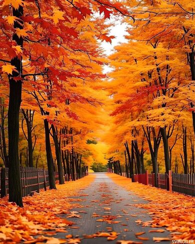 Autumn Paint by Numbers Landscape Paint by Numbers Kit for Adults with 3 Paintbrushes and Acrylic Pre Drawn Canvas Oil Painting Crafts, Home Wall Decor Gift, Hobbies for Women 16x20in Without Frame in Saudi Arabia