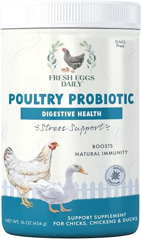 FRESH EGGS DAILY Poultry Probiotics Feed Supplement Vitamins for Backyard Chickens and Ducks 6LB in Kuwait