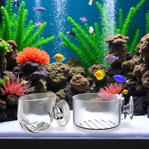 4Pcs Transparent Acrylic Aquatic Plant Cups with Suction - Aquarium Decoration 2 Shapes for Fish Tank Ornament in Saudi Arabia