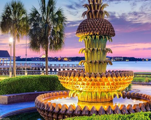 XTXGERL Painting Pineapple Fountain Charleston South Carolina USA Painting by Numbers DIY Unique Canvas Oil Painting Kit Digital Paintings 16x20in in Saudi Arabia