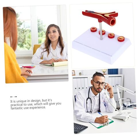 Cardiovascular Model 7-Inch Human Heart Blood Vessel Teaching Aid for Medical Education and Anatomy Study in Saudi Arabia