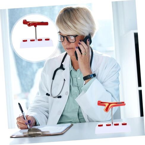Cardiovascular Model 7-Inch Human Heart Blood Vessel Teaching Aid for Medical Education and Anatomy Study in Saudi Arabia