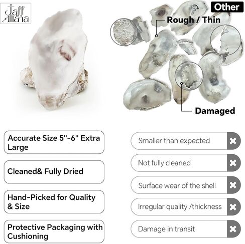 20PCS 5"-6" Extra Large Oyster Shells for Crafts, Natural Odor-Free Seashells for DIY, Painting, Wedding Decor, Decorating, Vase Fillers, Coastal Art Projects in Saudi Arabia