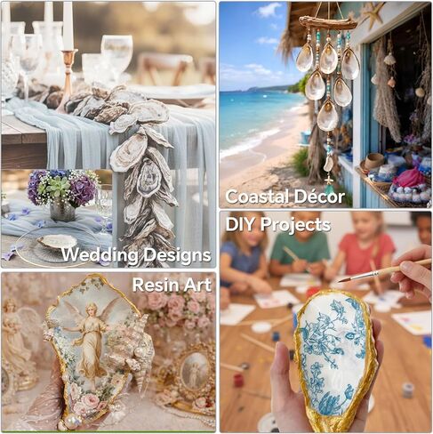 20PCS 5"-6" Extra Large Oyster Shells for Crafts, Natural Odor-Free Seashells for DIY, Painting, Wedding Decor, Decorating, Vase Fillers, Coastal Art Projects in Saudi Arabia