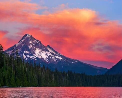 ZUVRDIAI DIY Paint by Numbers Mt Hood at Sunset from Lost Lake Oregon Canvas Painting Set with Acrylic Paints Paintbrush for Adults Beginners Artwork Gift 16 x 20Inch in Saudi Arabia