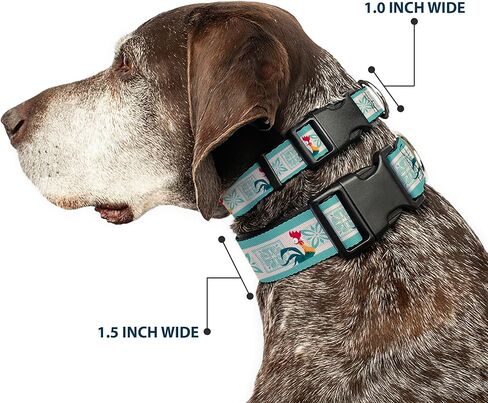 Disney Pet Collar, Dog Collar Plastic Buckle, Moana HEI HEI The Rooster and Icon Blocks White Light Green, 15 to 24 Inches 1.0 Inch Wide in Saudi Arabia
