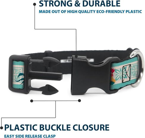 Disney Pet Collar, Dog Collar Plastic Buckle, Moana HEI HEI The Rooster and Icon Blocks White Light Green, 15 to 24 Inches 1.0 Inch Wide in Saudi Arabia