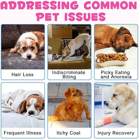 قطعتان من الكولاجين للكلاب، قطرات كولاجين سائلة طبيعية للكلاب تدعم صحة الجلد والمفاصل، قطرات كولاجين سائل للكلاب مع البيوتين وميثيل سلفونيل الميثان والزنجبيل، مكمل كولاجين للكلاب، نكهة لحم الخنزير المقدد in Kuwait