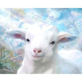 مجموعة طلاء بالأرقام من ACSAUMMY للمبتدئين، 16 × 20 مجموعة طلاء فنية برقم فتاة الكون حسب الأرقام على القماش مع 3 فرش حرف رسم أكريليك تجريدية للبالغين لديكور حائط المنزل in Kuwait