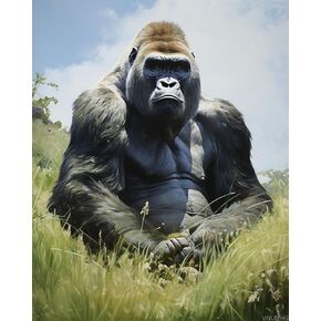 VNUIEHG Paint by Numbers for Adults, Gorilla Sitting on The Grass, Paint by Numbers on Canvas, DIY Paintwork Drawing Art for Beginner Gift, 40x50cm, Without Frame in Kuwait