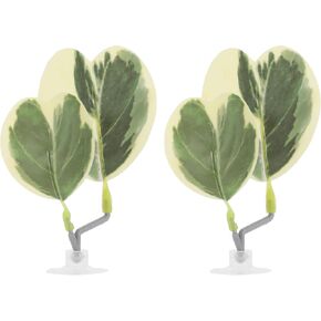 Betta Fish Bed, Betta Leaf Bed, Plastic Betta Hammock, Betta Hammock Pad W/Suction Cup, Betta Heart-Shaped Leaf Bed Aquarium Decor, Yellow Green 2Pcs in Kuwait