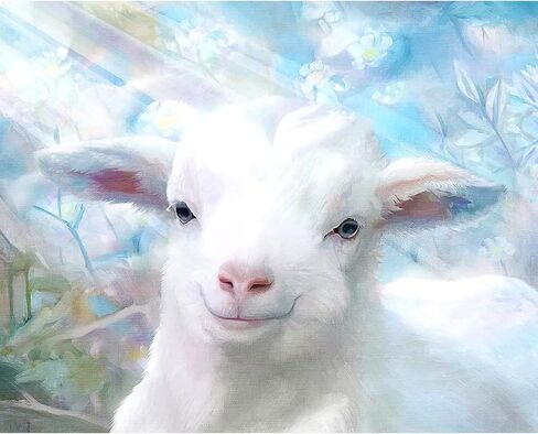 مجموعة طلاء بالأرقام من ACSAUMMY للمبتدئين، 16 × 20 مجموعة طلاء فنية برقم فتاة الكون حسب الأرقام على القماش مع 3 فرش حرف رسم أكريليك تجريدية للبالغين لديكور حائط المنزل in Kuwait