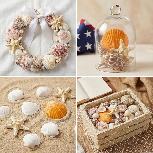 Plastic Sea Shells for Crafts, Assorted Mixed Shells & Starfish (12+ Types: Bread Starfish, Conch, Scallop etc.), DIY Supplies for Home Decor, Fish Tanks, Vase Fillers & Beach Art in Saudi Arabia