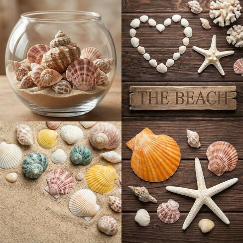 Plastic Sea Shells for Crafts, Assorted Mixed Shells & Starfish (12+ Types: Bread Starfish, Conch, Scallop etc.), DIY Supplies for Home Decor, Fish Tanks, Vase Fillers & Beach Art in Saudi Arabia