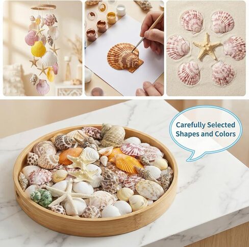 Plastic Sea Shells for Crafts, Assorted Mixed Shells & Starfish (12+ Types: Bread Starfish, Conch, Scallop etc.), DIY Supplies for Home Decor, Fish Tanks, Vase Fillers & Beach Art in Saudi Arabia