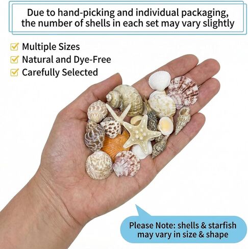 Plastic Sea Shells for Crafts, Assorted Mixed Shells & Starfish (12+ Types: Bread Starfish, Conch, Scallop etc.), DIY Supplies for Home Decor, Fish Tanks, Vase Fillers & Beach Art in Saudi Arabia