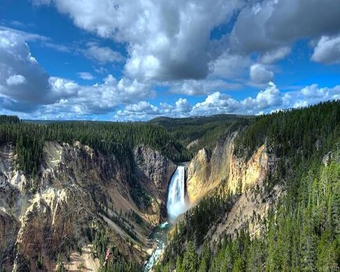 QACEYID Yellowstone Lower Falls National Park Wyoming Painting by Numbers DIY Canvas Oil Painting Kit Digital Painting 16x20 Inch in Saudi Arabia