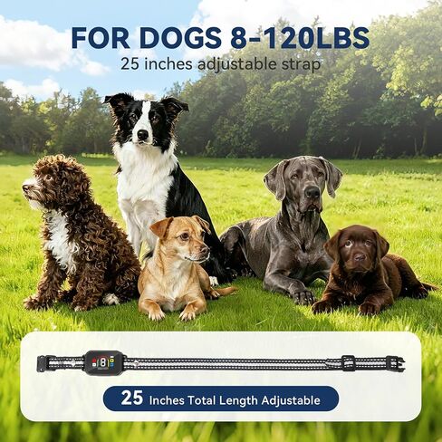 CanineJoy 2 في 1 طوق صدمات للكلاب وطوق نباح الكلاب - طوق تدريب ذكي مضاد للنباح بطول 3400 قدم مع جهاز تحكم عن بعد، طوق إلكتروني مقاوم للماء IP67 مع صوت تنبيه/اهتزاز (1-8)/صدمة (1-8) وأوضاع تلقائية in Kuwait