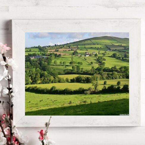 SVINOILER DIY Digital Painting Fields Ireland Paint by Numbers Kits Drawing on Canvas Without Frame Adults Beginner Wall Art Home Decor 16''x20'' in Saudi Arabia