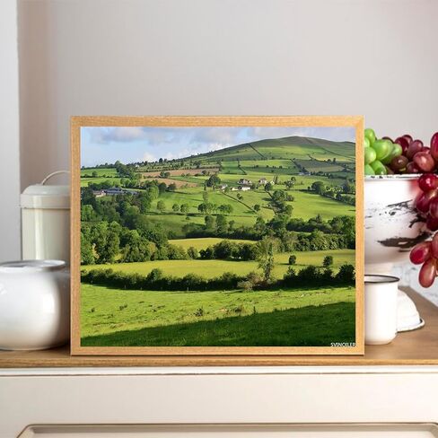 SVINOILER DIY Digital Painting Fields Ireland Paint by Numbers Kits Drawing on Canvas Without Frame Adults Beginner Wall Art Home Decor 16''x20'' in Saudi Arabia