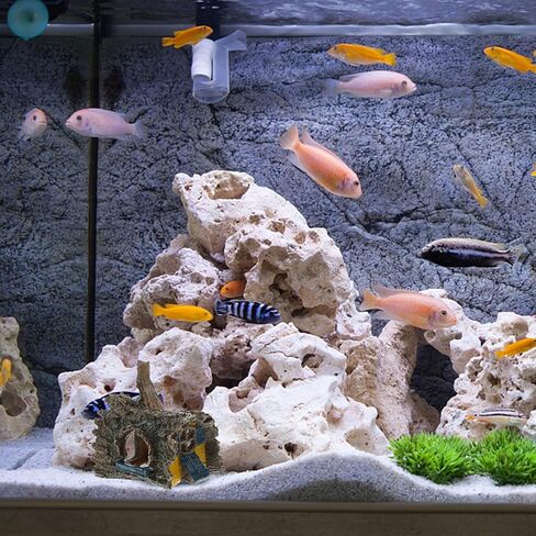 FRCOLOR Aquarium Decor Simulated Tree Root House Fish Tank Hideout Cave for Small Fish and Shrimp Freshwater Aquarium Accessories 5.90X5.31X4.52In in Saudi Arabia