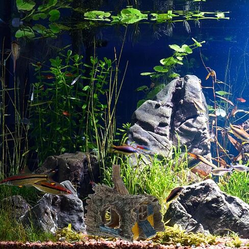 FRCOLOR Aquarium Decor Simulated Tree Root House Fish Tank Hideout Cave for Small Fish and Shrimp Freshwater Aquarium Accessories 5.90X5.31X4.52In in Saudi Arabia