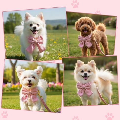 Dog Collar and Leash Set with Bowtie, Cute Pink Dog Collars Bow Metal Buckle Adjustable Corduroy Dogs Collar 10‘’-16‘’ for Small Medium Puppy Dogs with 5 FT Leash Pink S in Saudi Arabia