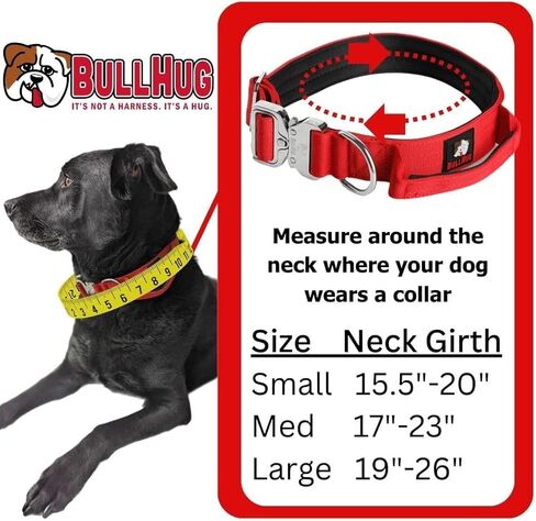 طوق BullHug التكتيكي المصنوع من النايلون للكلاب بمقبض - إبزيم عالي التحمل وسريع التحرير لتعزيز التحكم، مثالي للساحبين الثقيل - السلالات الصغيرة/المتوسطة/الكبيرة (عرض 1 بوصة - (نجمة ساطعة، صغيرة) in Kuwait