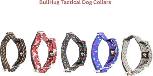 طوق BullHug التكتيكي المصنوع من النايلون للكلاب بمقبض - إبزيم عالي التحمل وسريع التحرير لتعزيز التحكم، مثالي للساحبين الثقيل - السلالات الصغيرة/المتوسطة/الكبيرة (عرض 1 بوصة - (نجمة ساطعة، صغيرة) in Kuwait