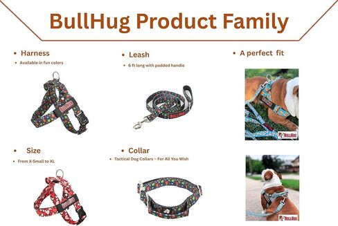 طوق BullHug التكتيكي المصنوع من النايلون للكلاب بمقبض - إبزيم عالي التحمل وسريع التحرير لتعزيز التحكم، مثالي للساحبين الثقيل - السلالات الصغيرة/المتوسطة/الكبيرة (عرض 1 بوصة - (نجمة ساطعة، صغيرة) in Kuwait