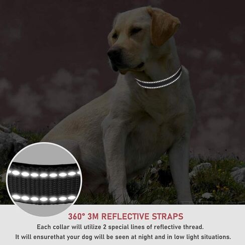 Reflective Dog Collar with Buckle Adjustable Safety Nylon Collars for Small Medium Large Dogs, Black M in Saudi Arabia