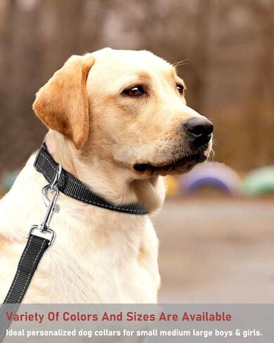 Reflective Dog Collar with Buckle Adjustable Safety Nylon Collars for Small Medium Large Dogs, Black M in Saudi Arabia
