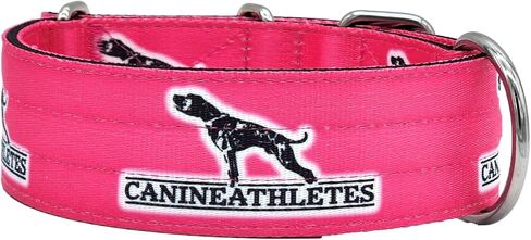 الكلاب الرياضيين 2 بوصة واسعة الوردي الساخن التكتيكية طوق الكلب طوق الكلب القوي سميكة الثقيلة الفولاذ المقاوم للصدأ طوق الكلب K9 التدريب التحريض (كبير جدا) in Kuwait