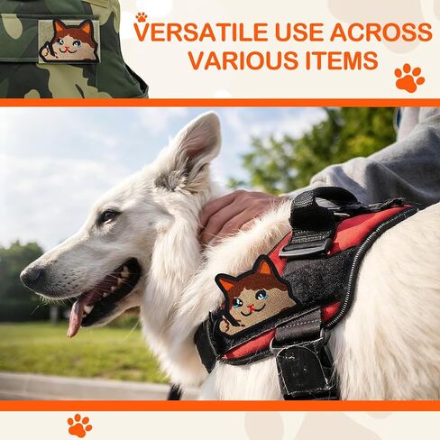 Funny Velcro Patches - Cat Meme Morale Patches Velcro with Hook and Loop Backing for Backpacks, Dog Harnesses, Hats and Jackets in Saudi Arabia