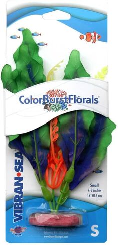 Colorburst Waffle Leaf نبات حوض السمك الحريري الصغير in Saudi Arabia