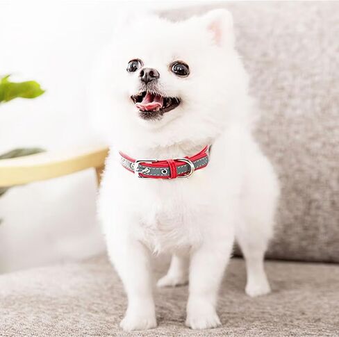 Yonsbox Personalized Reflective Dog & Cat Collar with Silent ID Tag, Custom Engraved Pet Name & Phone Number, Ultra Soft Microfiber, No-Jingle Safety Collar for Small Medium Large Dogs in Saudi Arabia