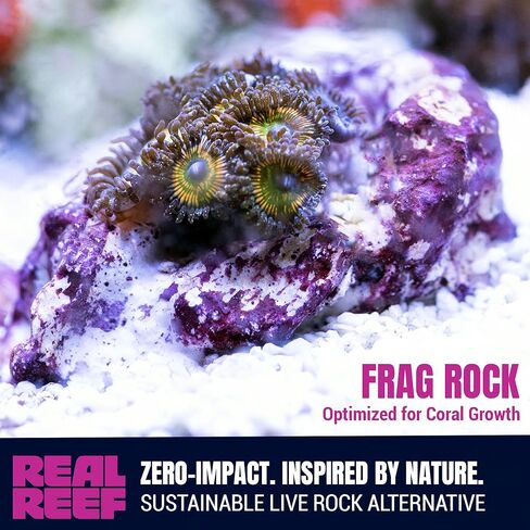 10 قطع صغيرة من Frag Rock (1-2 بوصة) - صخور حية اصطناعية آمنة للشعاب المرجانية لكسر المرجان، وتركيب القابس وتظليل الشعاب المرجانية، وحوامل شظايا طبيعية بلون مرجاني in Kuwait